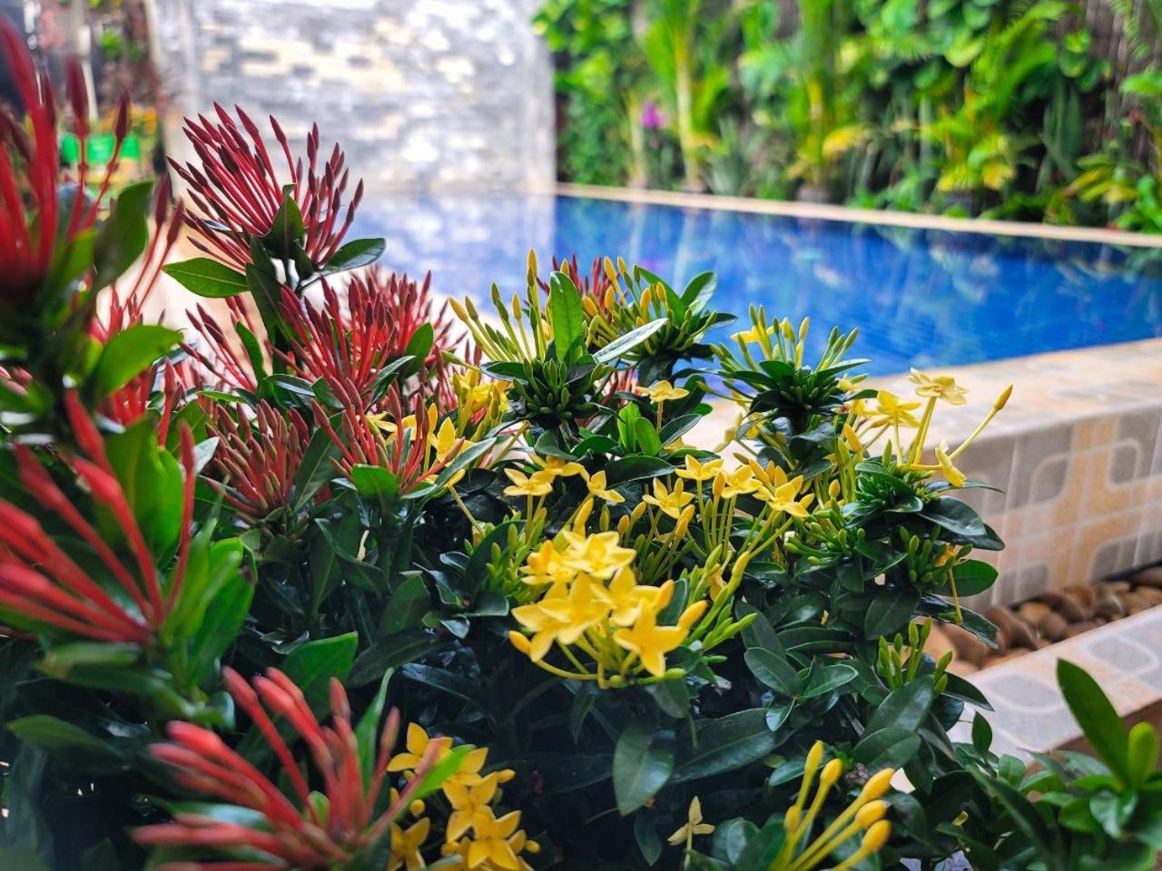 Bed&Bedzzz Vandrehjem Siem Reap Eksteriør billede